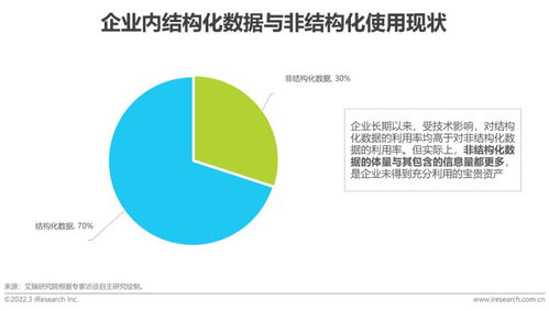 2022年中國人工智能數(shù)據(jù)治理行業(yè)研究報告 數(shù)據(jù)處理與存儲服務(wù)篇